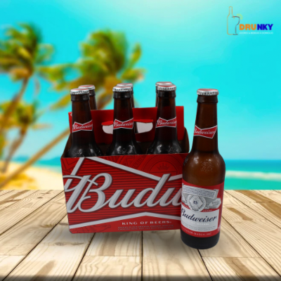 Cerveza Budweiser 330cc six pack